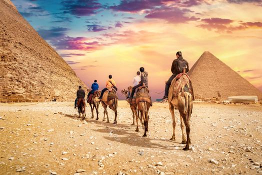 Camel ride at pyramids
