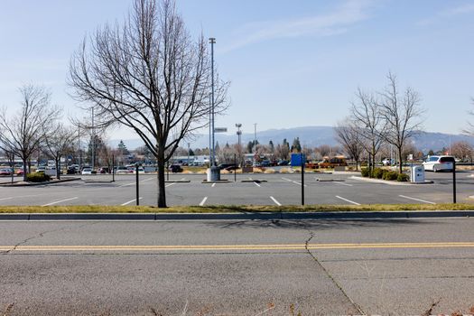 Leafless trees in an empty parking lot on a sunny day