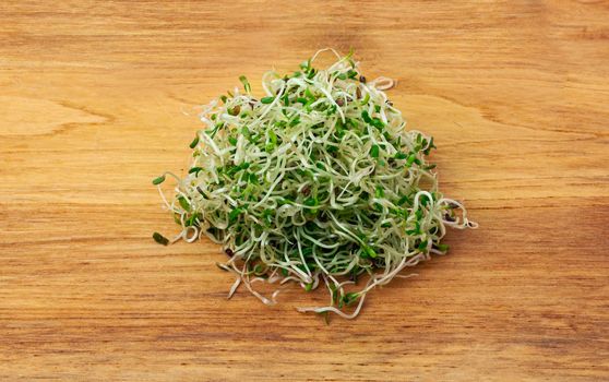 Organic young alfalfa sprouts on a wooden table