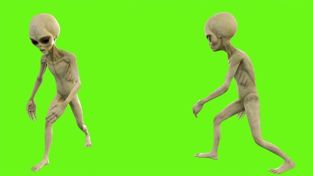 Alien walks on green screen. 3D rendering