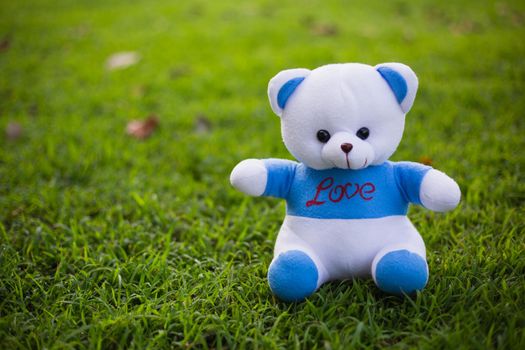 Bear doll lonely