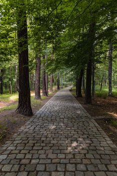 Paths of city park of Jan III Sobieski full of old trees in Walbrzych