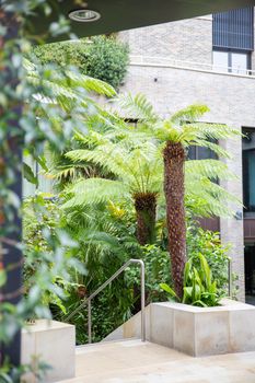 Plants and small palm trees at the entrance of a gray building