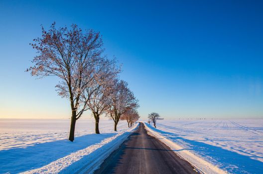 Empty road through snow-covered field after a blizzard at sunrise.