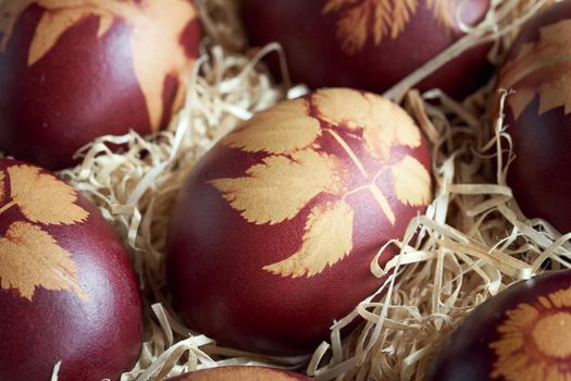 Easter eggs dyed with onion peels with a pattern of herbs