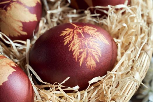 Closeup of an Easter egg dyed with onion peels with a pattern of plants