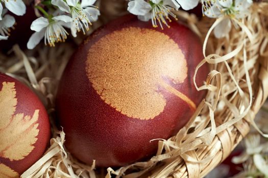Easter eggs dyed with onion peels with a pattern of herbs, with blooming branches
