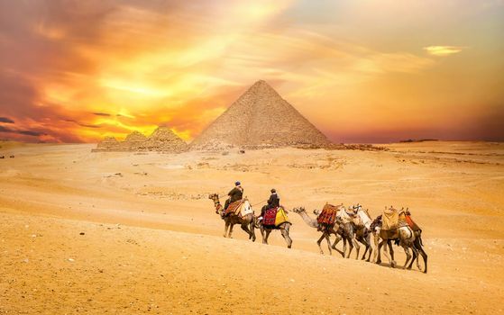 Camel ride at the pyramids