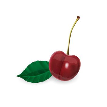 Ripe cherry on a stem and a leaf.