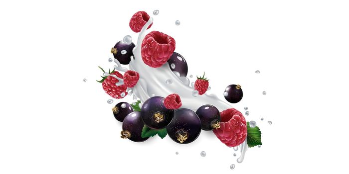 Black currants and raspberries in splashes of milk or yogurt.