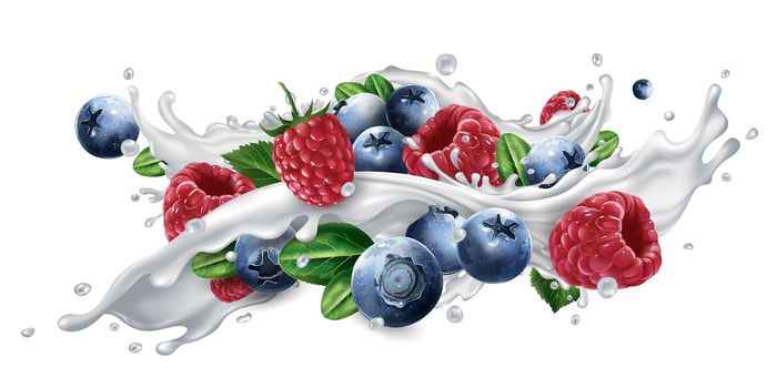 Blueberries and raspberries in a milk or yogurt splash.
