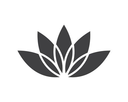  Lotus flowers vector  design logo Template icon