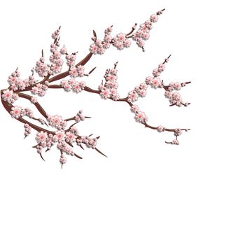3D pink cherry blossoms on a branch. Stylish creative wallpaper.