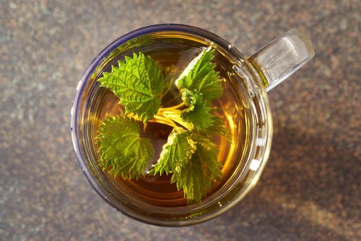 Fresh young nettles in a cup of nettle tea, top view