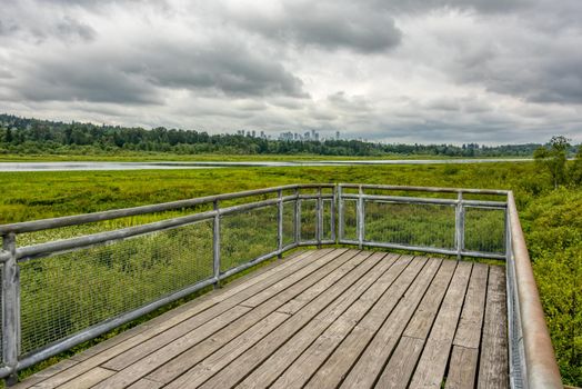 Recreational deck with observation over the park of Burnaby lake