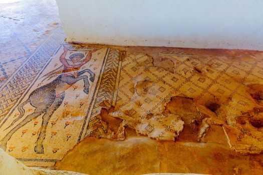 Mosaic floor with a centaur figure, the Nile house, Tzipori