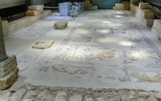 Mosaic floor in the ancient synagogue, in Tzipori