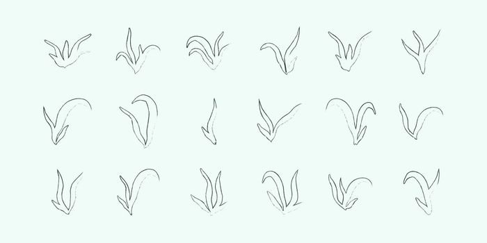 set of lineart seaweed algae aquatic water plant grass for aquarium. isolated on white vector hand drawn illustration in doodle style.
