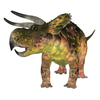 Nasutoceratops Dinosaur on White
