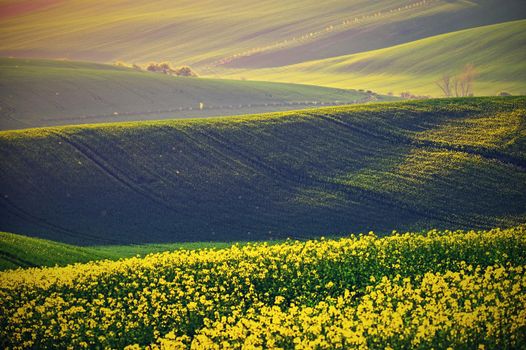 Spring sunset landscape photo of Moravian Tuscany in Czech Republic