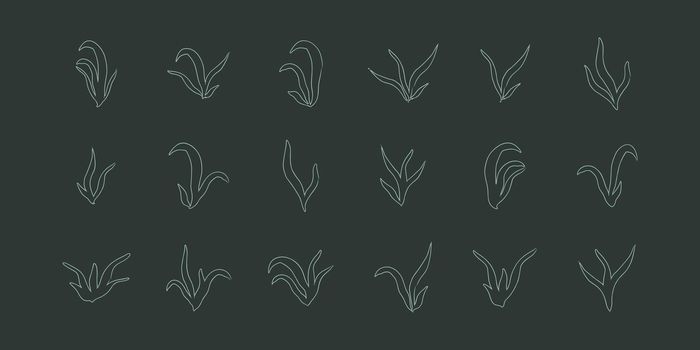 lineart seaweed set algae aquatic water plant grass for aquarium. isolated vector hand drawn illustration in doodle style.