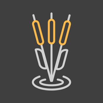 Reeds plant vector icon on dark background. Nature sign