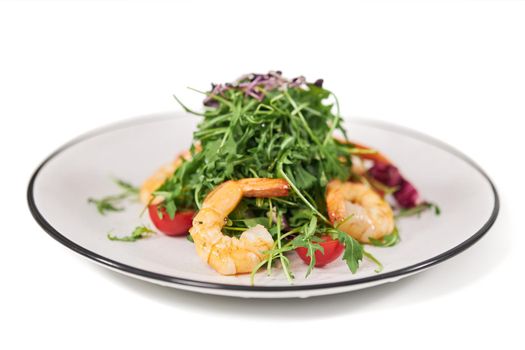 Elegant plate with fresh appetizing salad. 