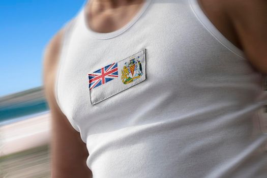 The national flag of British Antarctic Territory on the athlete's chest