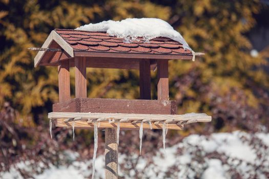 birdhouse in winter garden
