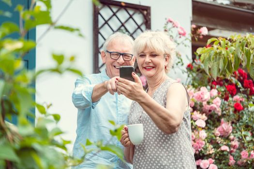Grandparents having video call with their grandchildren using phone