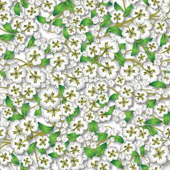 abstract floral ornament on white