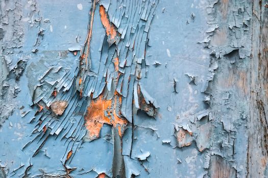 Close up at vintage peeling paint on wooden surfaces