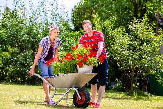 Couple in garden with barrow and flowers