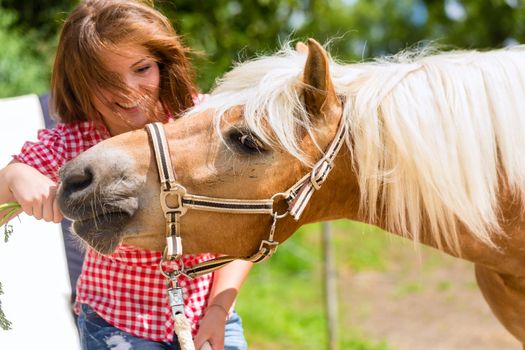 Woman feeding horse on pony farm