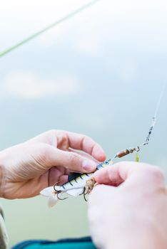 Angler fixing lure at hoof of fishing rod