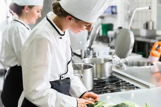 Female chefs at work in system catering