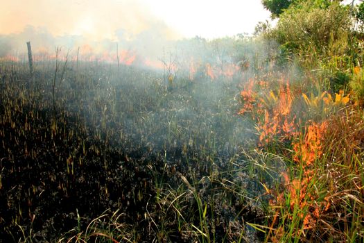 vegetation fire in bahia