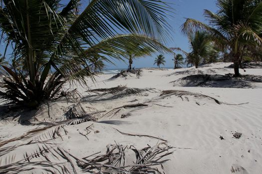 tourist site in mangue seco
