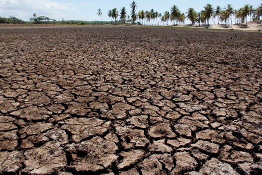 drought in northeastern brazil