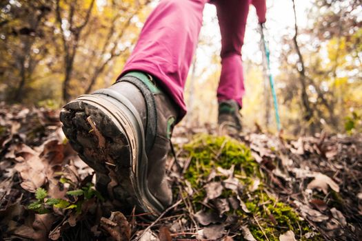 Hiking girl in a mountain. Low angle view of generic sports shoe and legs in a forest. Healthy fitness lifestyle outdoors.