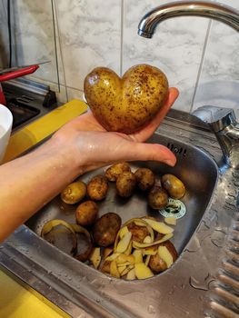 Little potato heart in a human hand