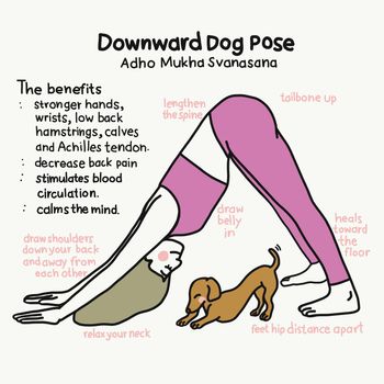 Downward Dog yoga pose and benefits cartoon vector illustration