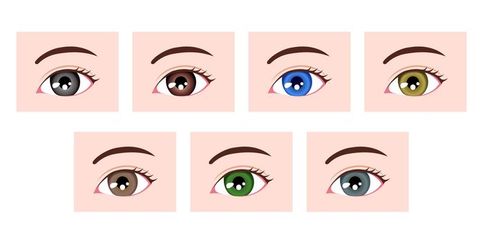 Human pupil eyeball variations / eye color types illustration