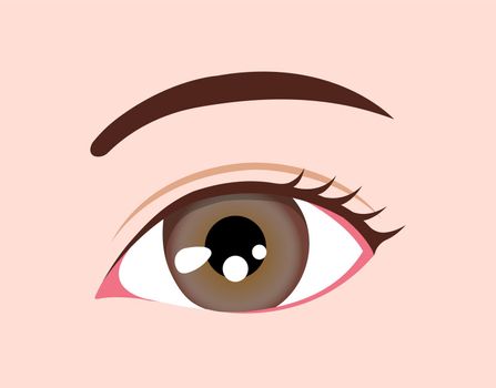 Human eyeball / eye color illustration (amber)