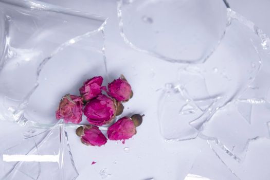 small pink roses next to the fragments of a broken glass