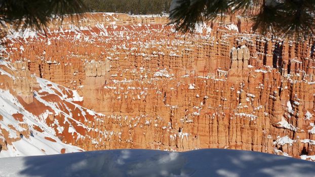 Bryce Canyon in winter, snow in Utah, USA. Hoodoos in amphitheater, eroded relief, panoramic vista point. Unique orange formation. Red sandstone, coniferous pine or fir tree. Eco tourism in America
