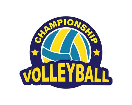 badge and logo of volley ball club vector icon illustration 