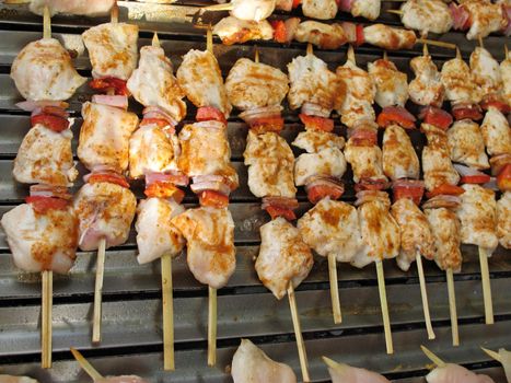 Chicken and meat brochette