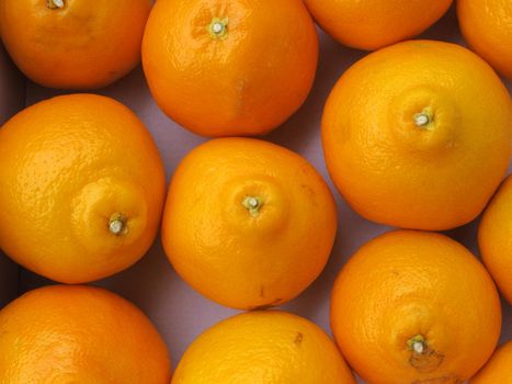 Fresh orange group collection closeup
