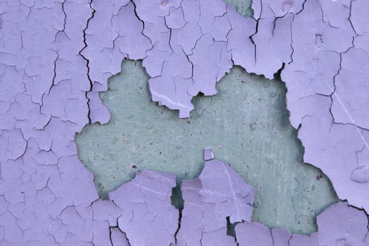 Cracked purple oil paint on aged metal surface. Cool grunge crackle texture. Fractured pattern. Peeling paint on the wall. 
